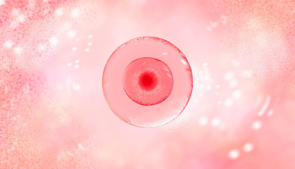 High resolution medical banner with woman egg cell Center. Banner for hospital. High technologies in reproductive medicine. 3d illustration of in vitro fertilization under a microscope. Beautiful medical banner in pink tones with a blurred background with highlights and texture. Close-up, microscope, reprudoctology, IVF advertising. High quality 3d illustration