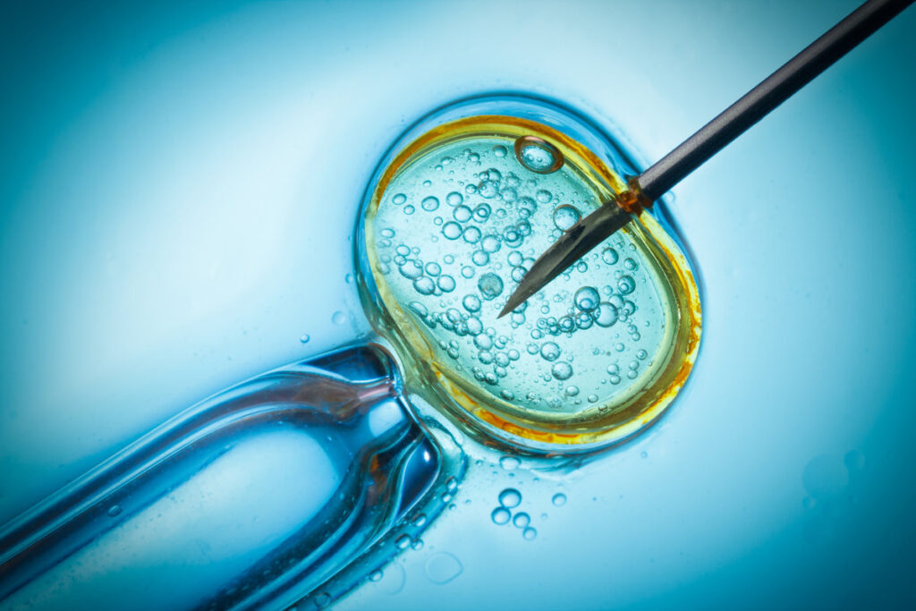In vitro fertilisation, IVF macro concept
