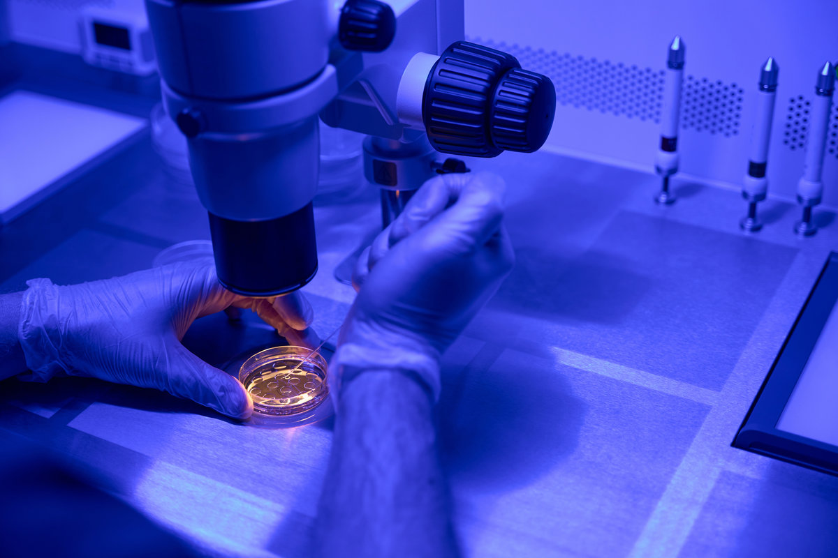 Close-up laboratory technician studying embryos growth under microscope, checking quality, keeping research